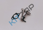 ���������� ���� ���